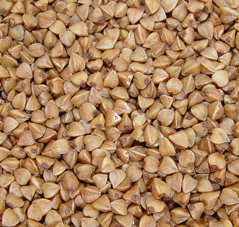 Einkorn wheat berries